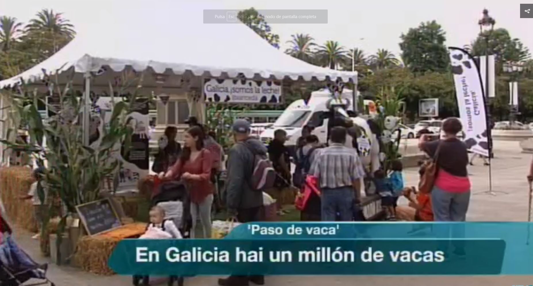 Televisión de Galicia 